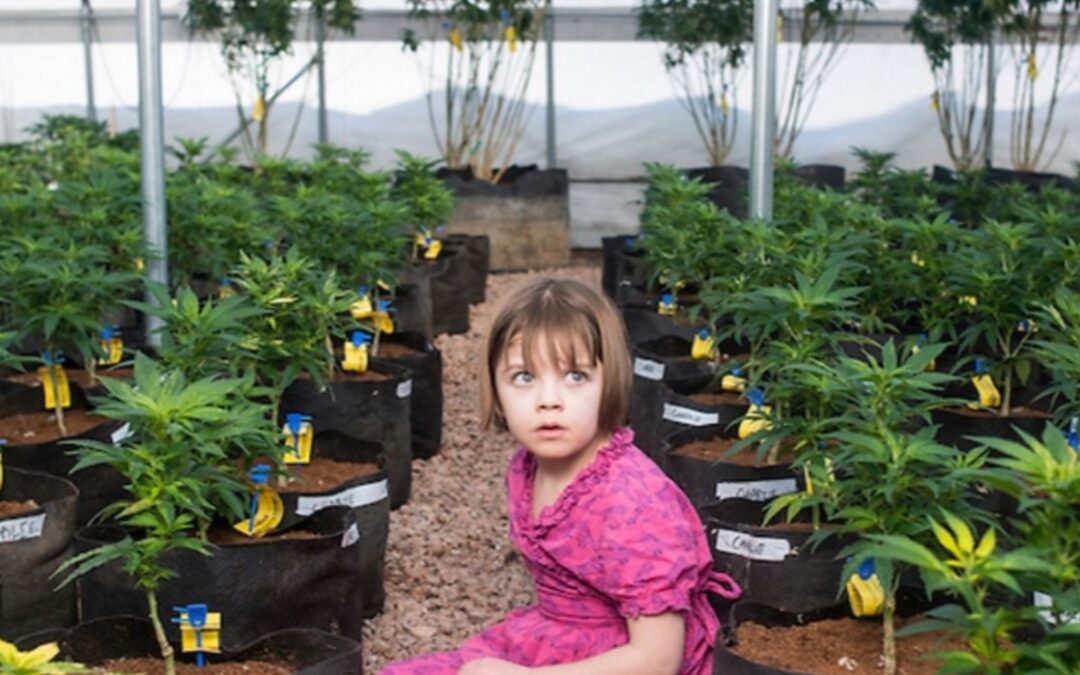 Medcinal Marijuana: Pros and Cons