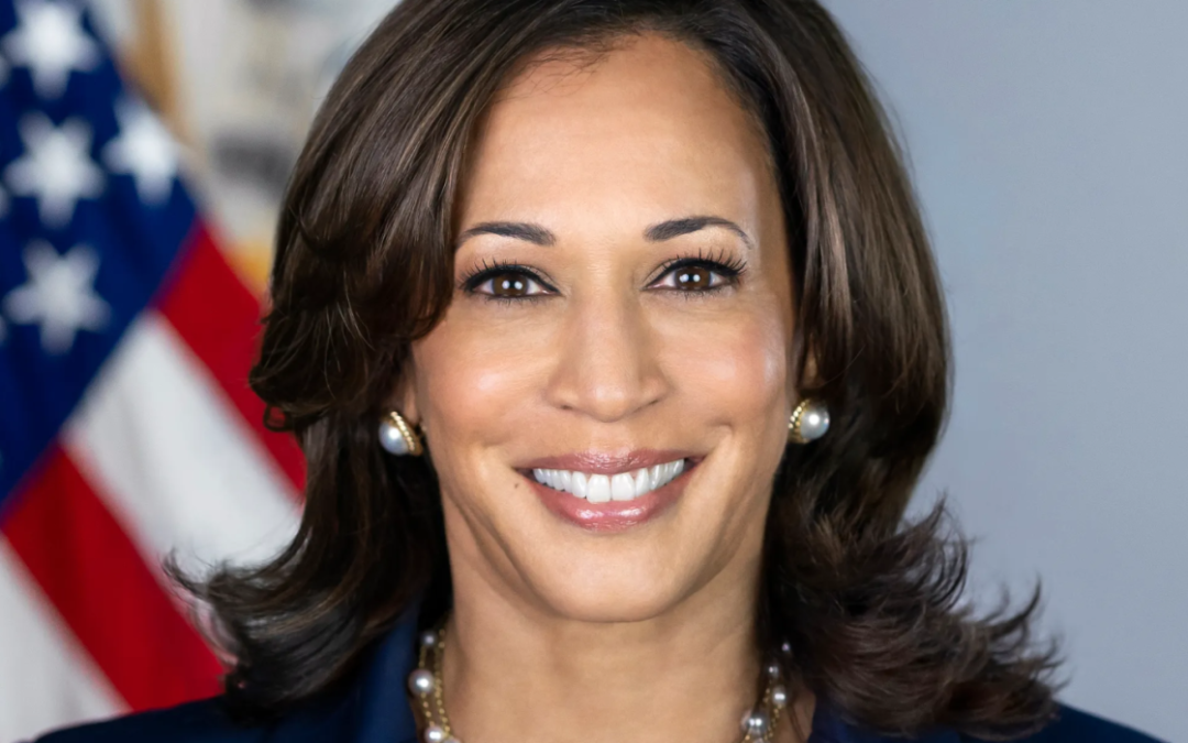 And Still They Rise: Exploring the Complexity of Black Women in America